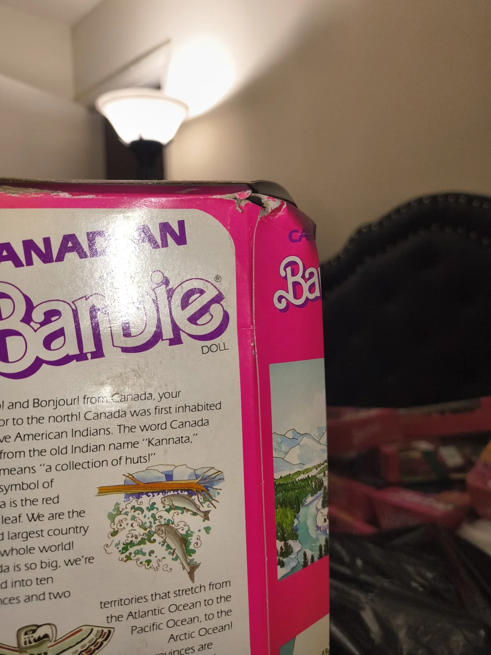 Barbie Canadian Outfit Doll in Pink Jacket and Black Pants